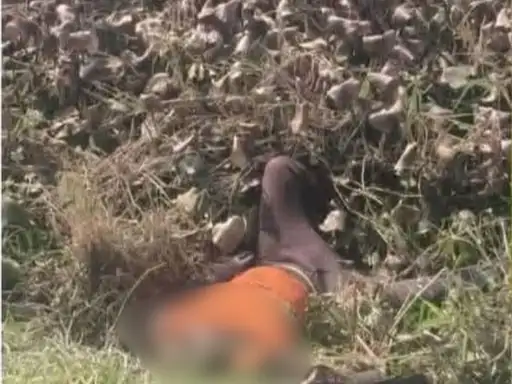 Haridwar Mahant murdered With Axe, shocking reveal